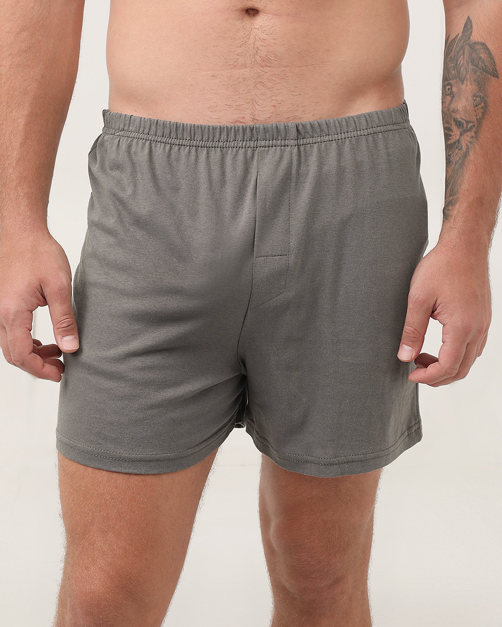 Cueca samba canção algodão lisa - Cinza | Riachuelo