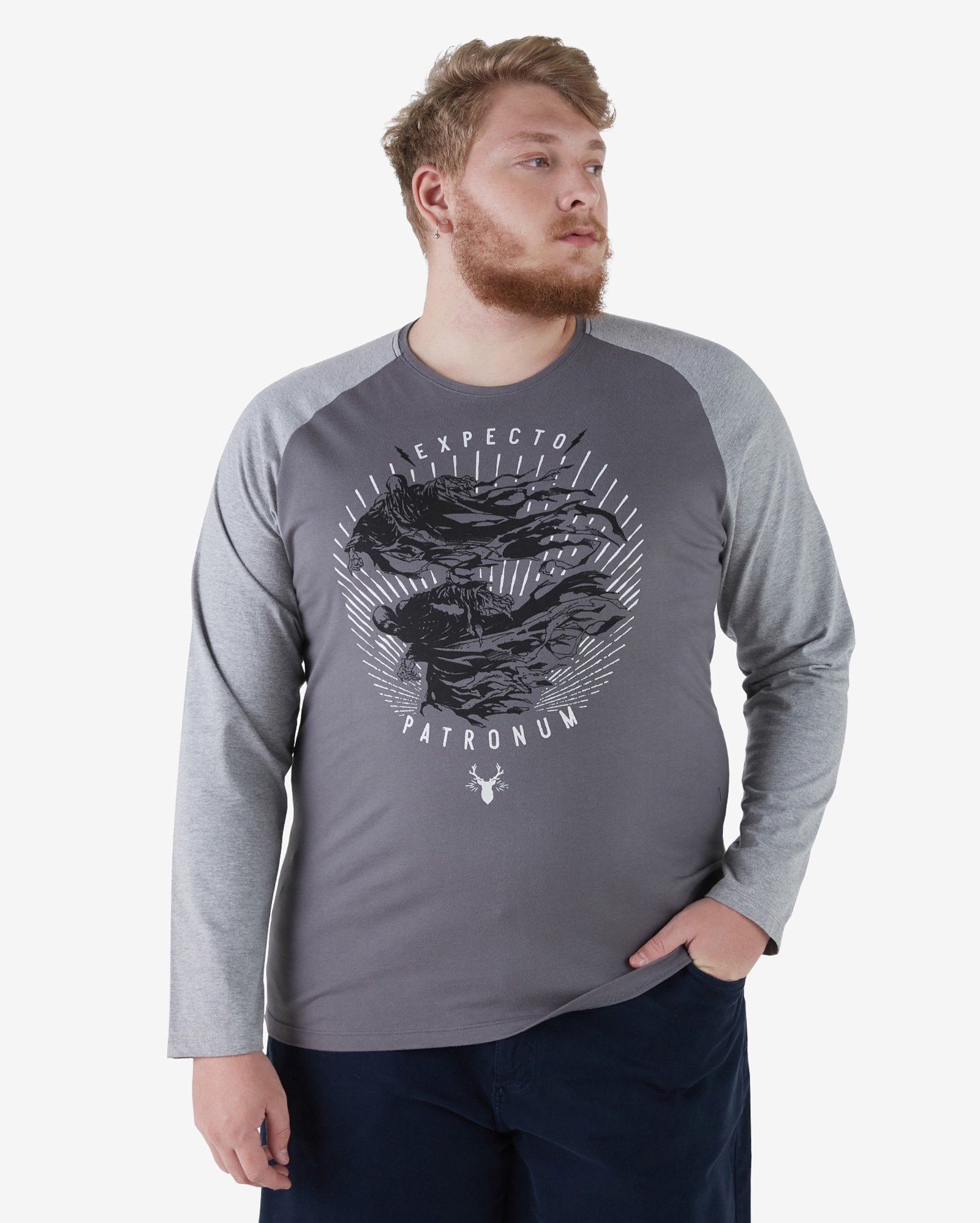 Riachuelo | Camiseta Manga Longa Raglan Harry Potter Cinza