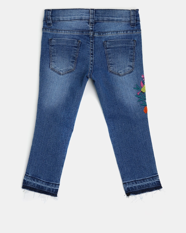 Riachuelo Calça Jeans Bordados