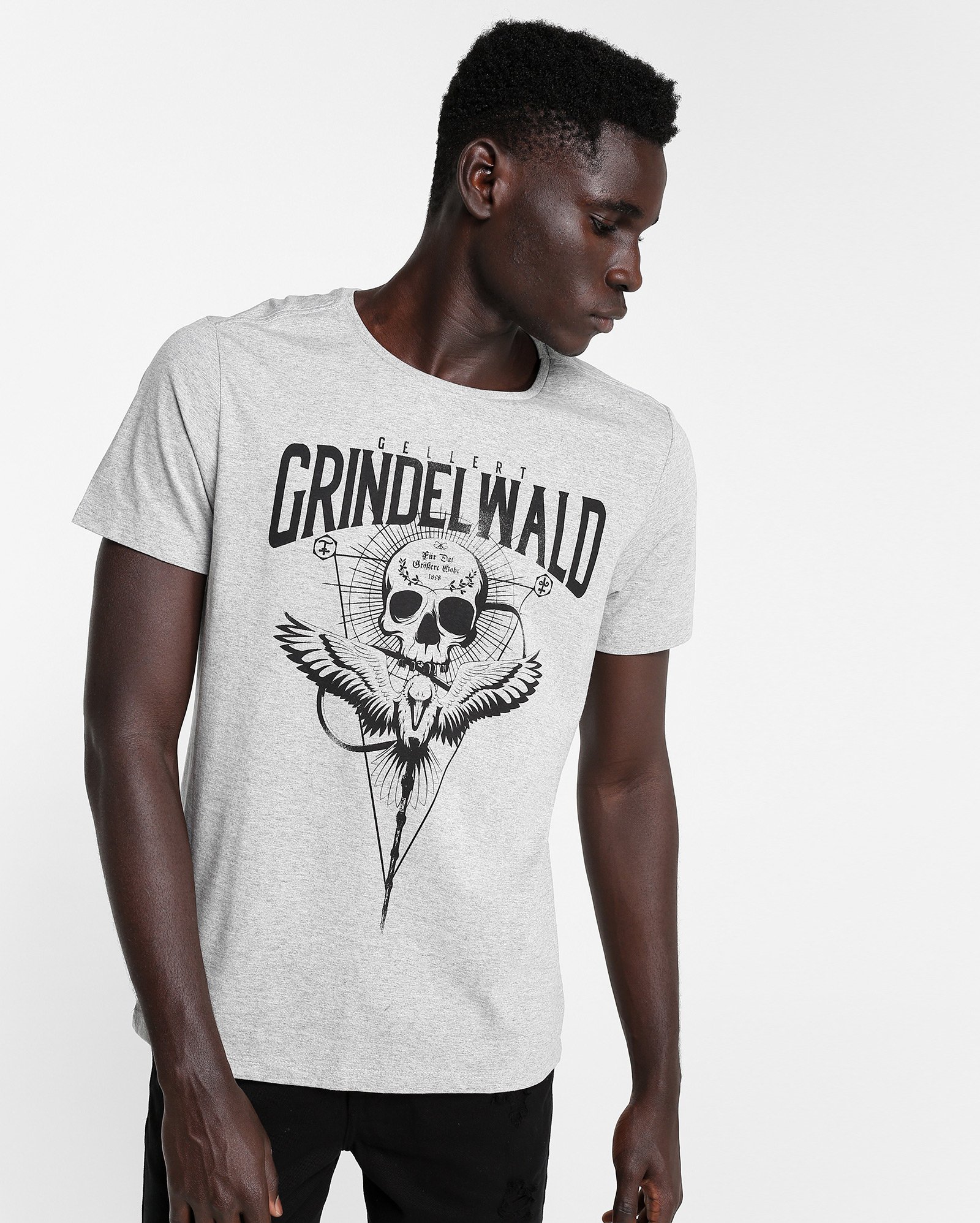 Riachuelo | Camiseta Gellert Grindelwald Animais Fantásticos