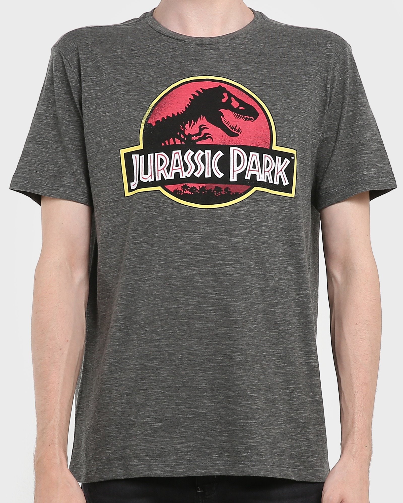 Riachuelo Camiseta Jurassic Park