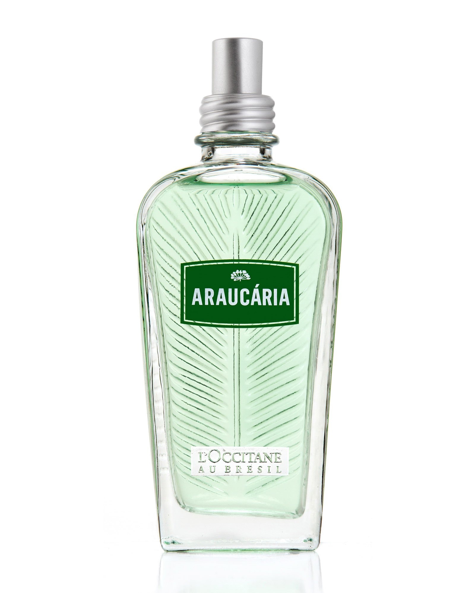 Riachuelo | Deo Colônia Araucária L'Occitane Au Brésil 100ml