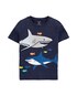 Camiseta Tubarão Carter's - Azul Marinho