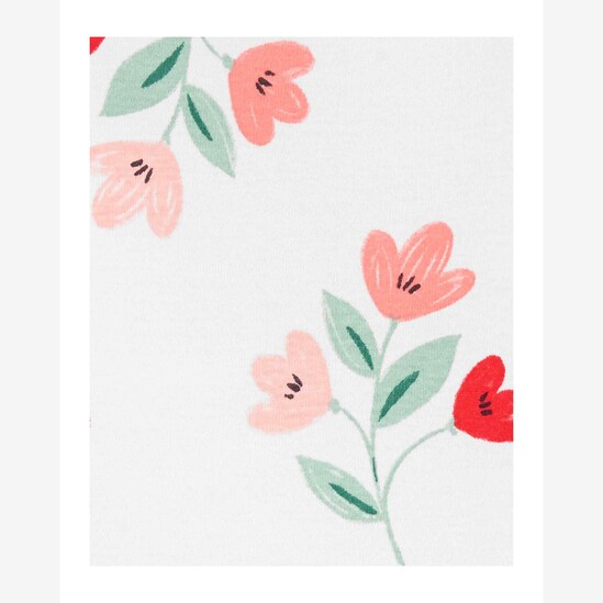 Kit Body Bebê Carter´s 5 Peças Little Garden Multicor