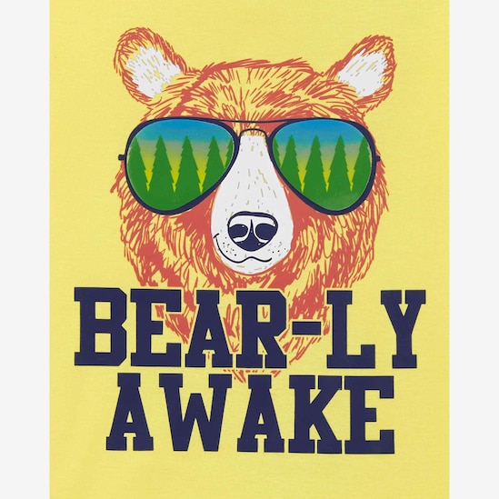 Pijama Infantil Carter's 4 Peças Urso Acampamento Multicor Tam 5 a 8