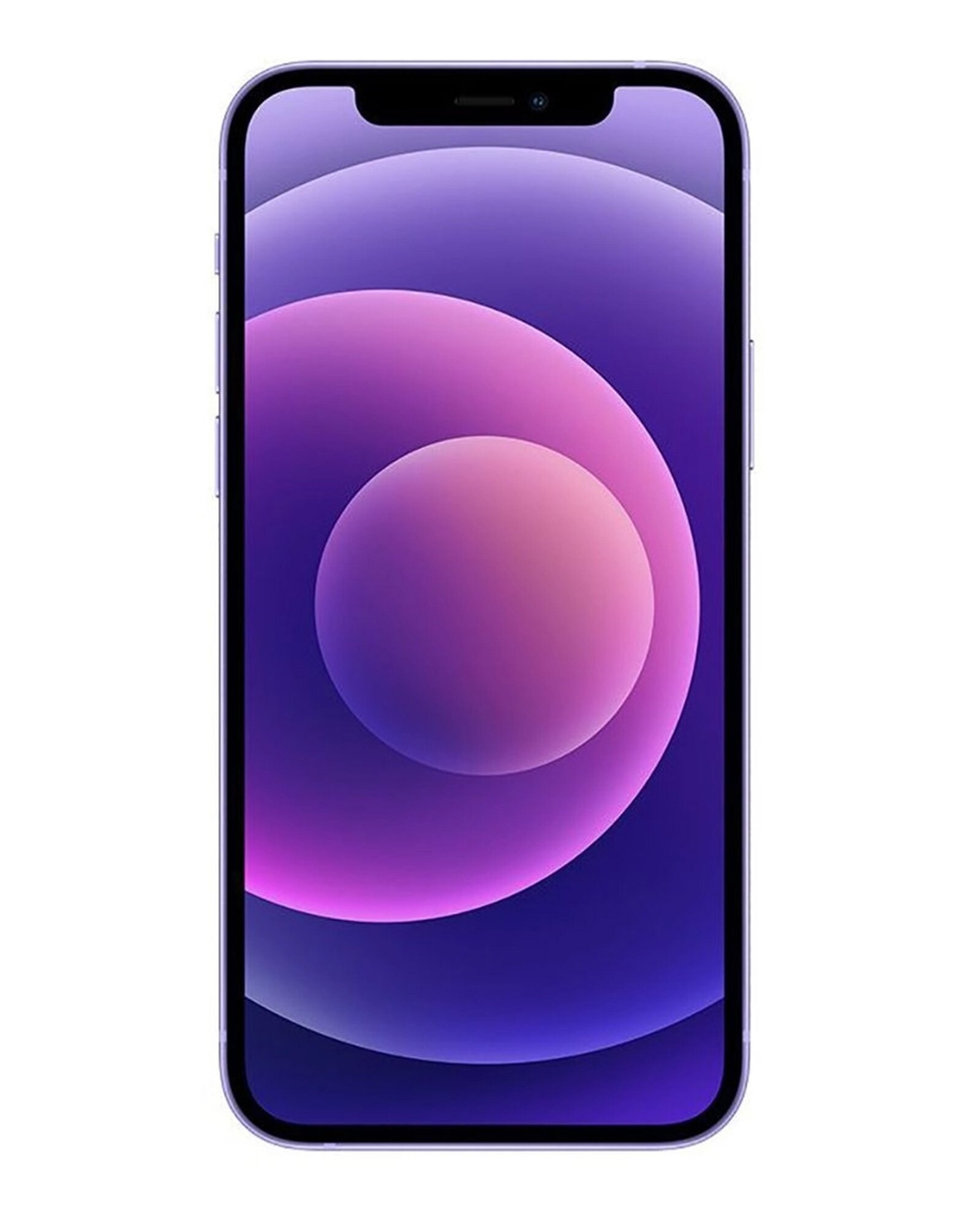 Riachuelo | Iphone 12 IOS 256GB 5G roxo | Apple