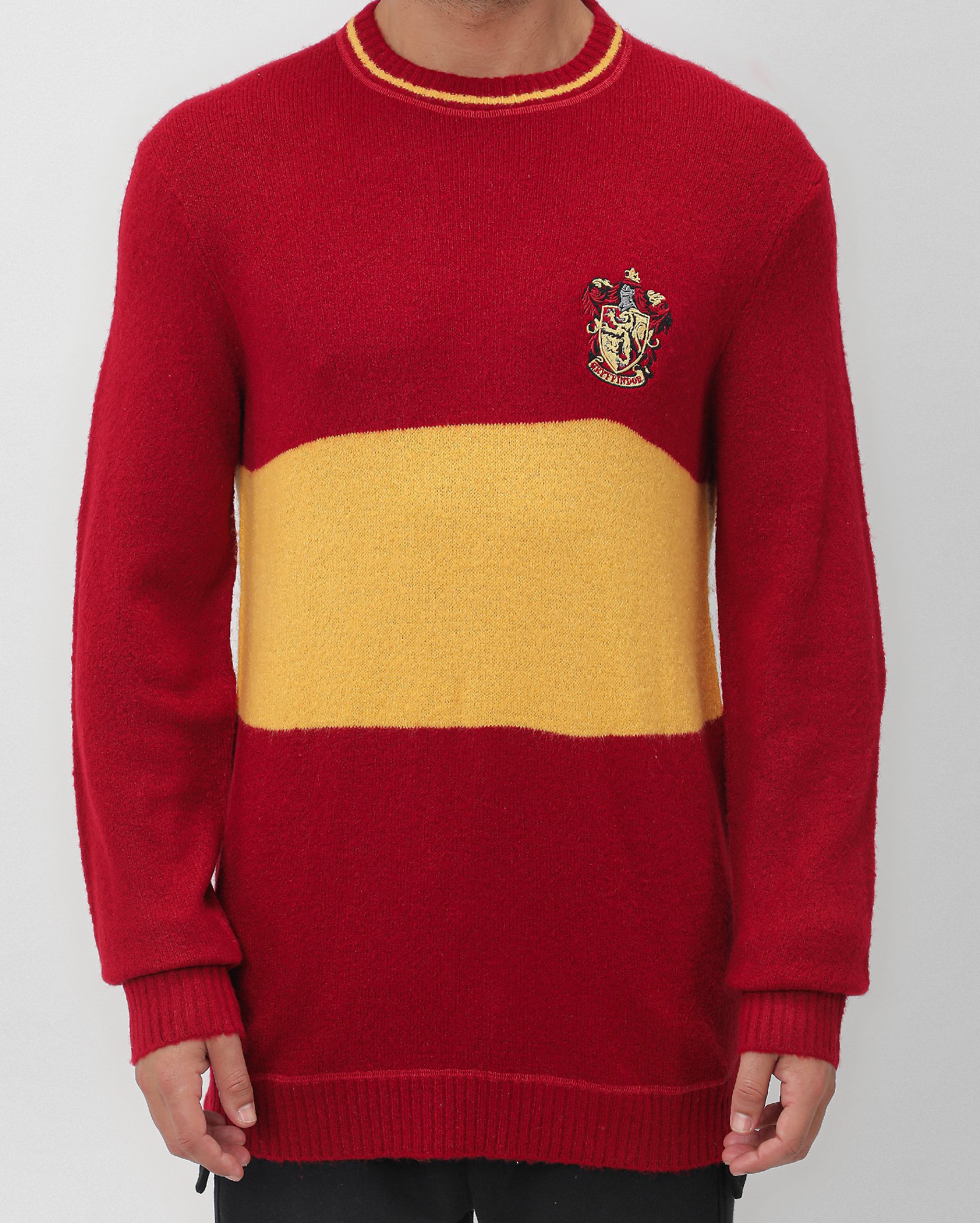 Riachuelo Suéter masculino Grifinória vermelho Warner Bros.