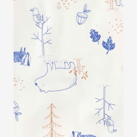 Kit body bebê 4 peças listrado com bichinhos multicor | Carter's