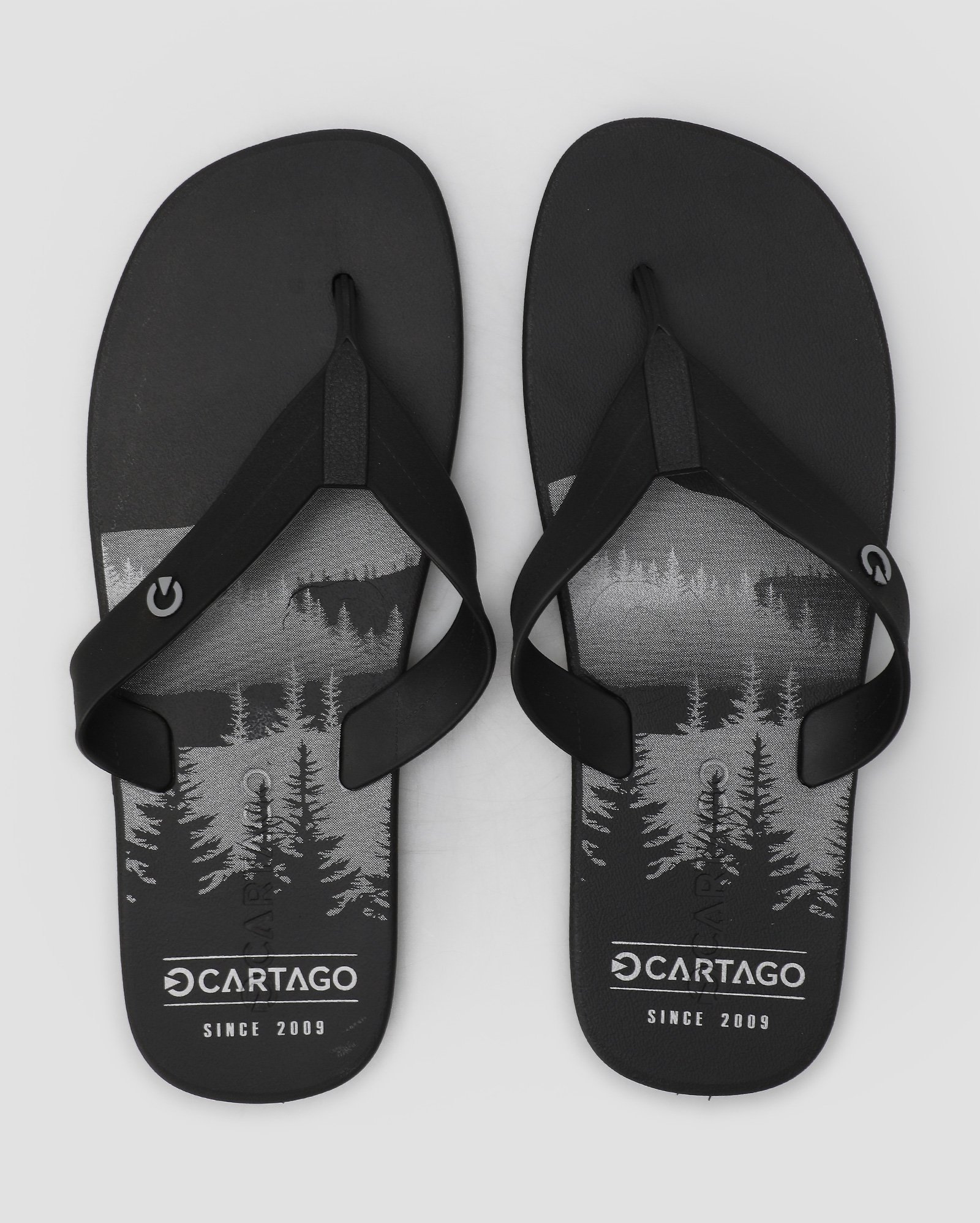 Chinelo masculino Cartago Atlanta preto | Grendene