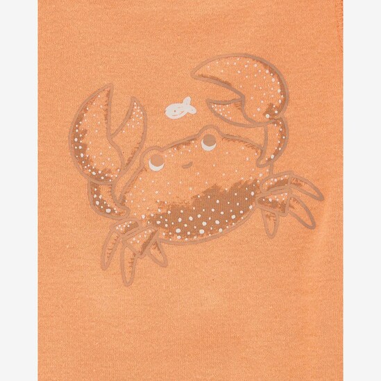 Kit body bebê 5 peças xadrez coqueiro multicor | Carter's