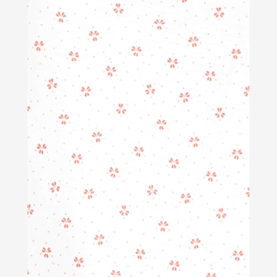 Kit body bebê 5 peças flores e borboletas rosa | Carter's 