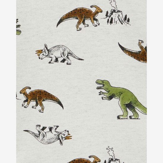 Conjunto longo de moletom bebê dinossauro cinza | Carter's
