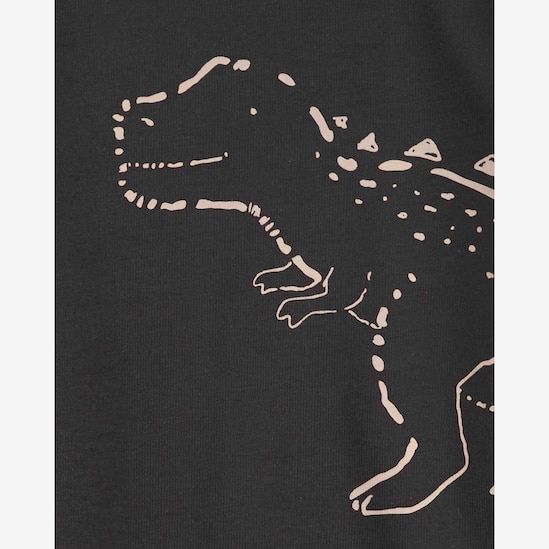 Conjunto longo bebê 2 peças de dinossauros multicor | Carter's