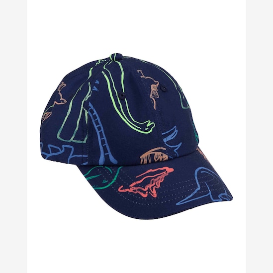 Boné infantil aba curva dinossauros abstratos azul | Carter's