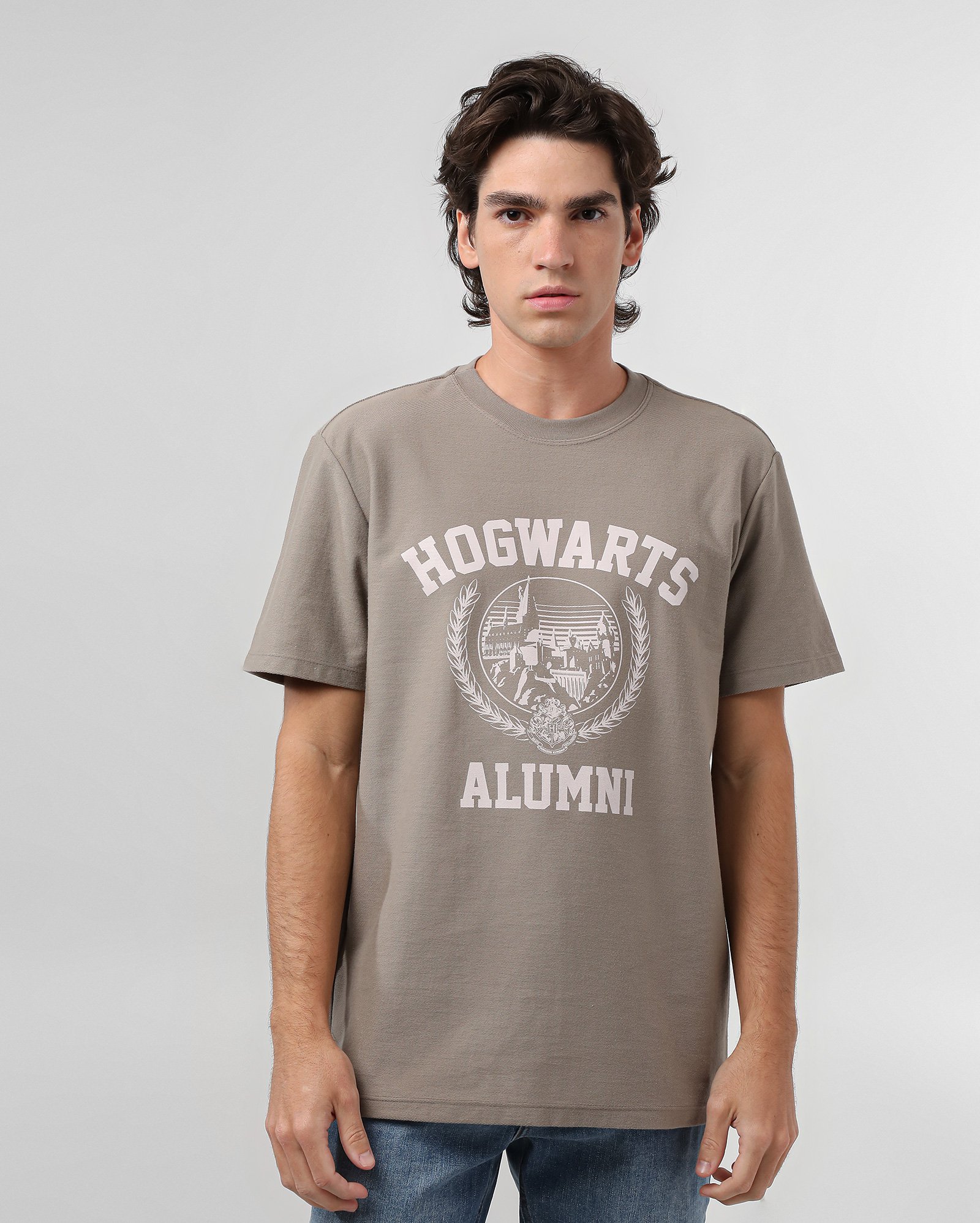 Camiseta masculina Hogwarts Alumni Harry Potter | FANLAB