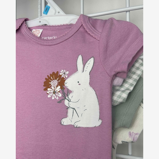 Kit body bebê 5 peças coelho xadrez multicor | Carter's