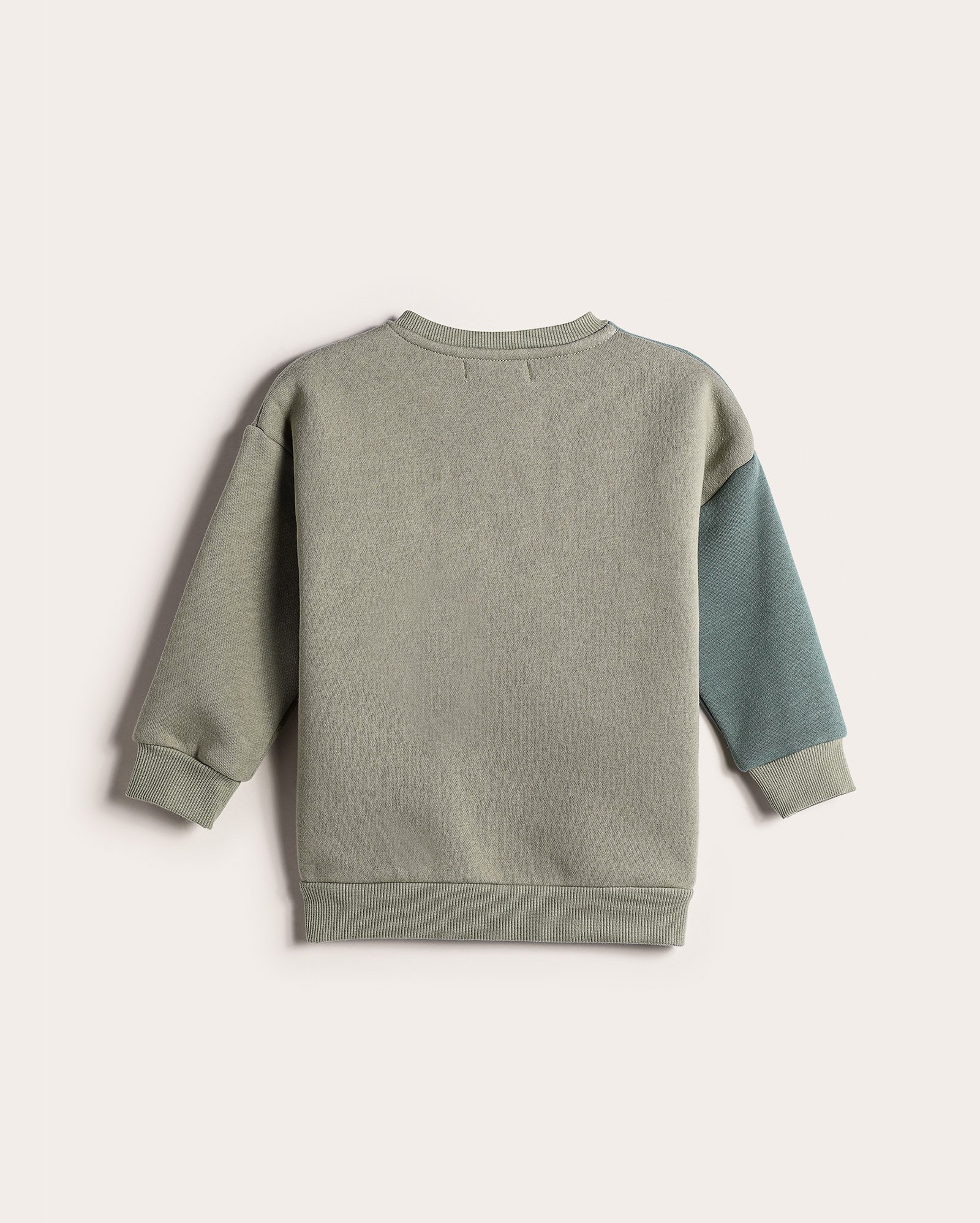 Blusa de moletom infantil com felpa jacaré interativo 1-4A multicor | Pool Kids