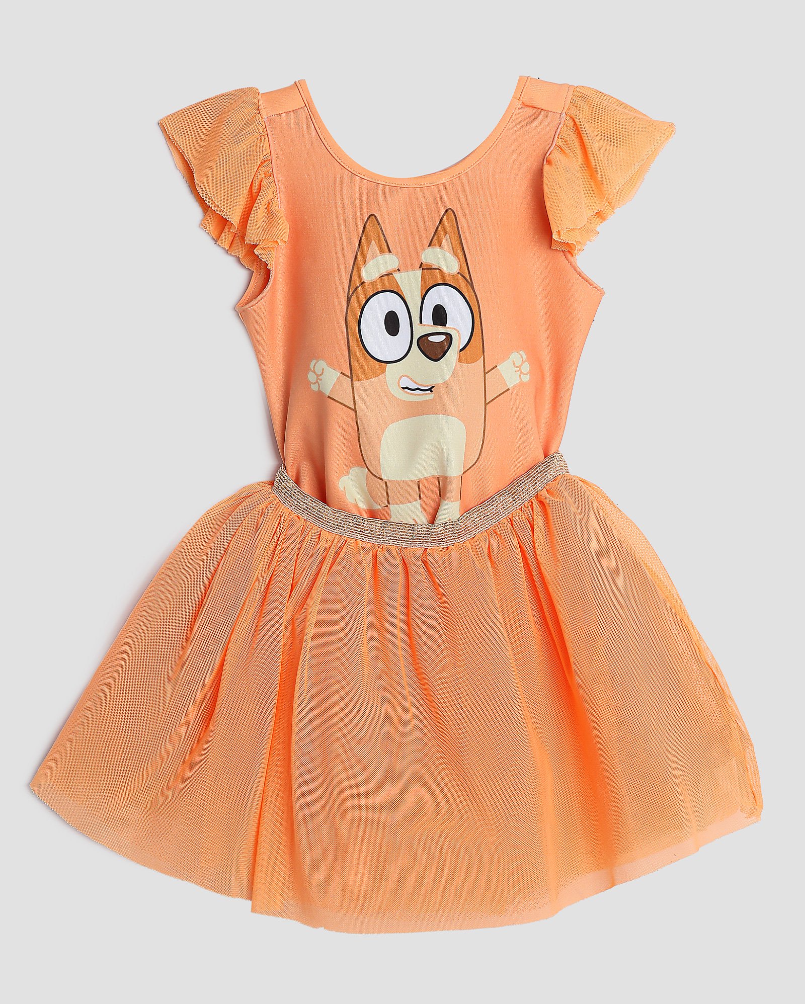 Fantasia vestido infantil Bingo tule 1-4A laranja | BBC