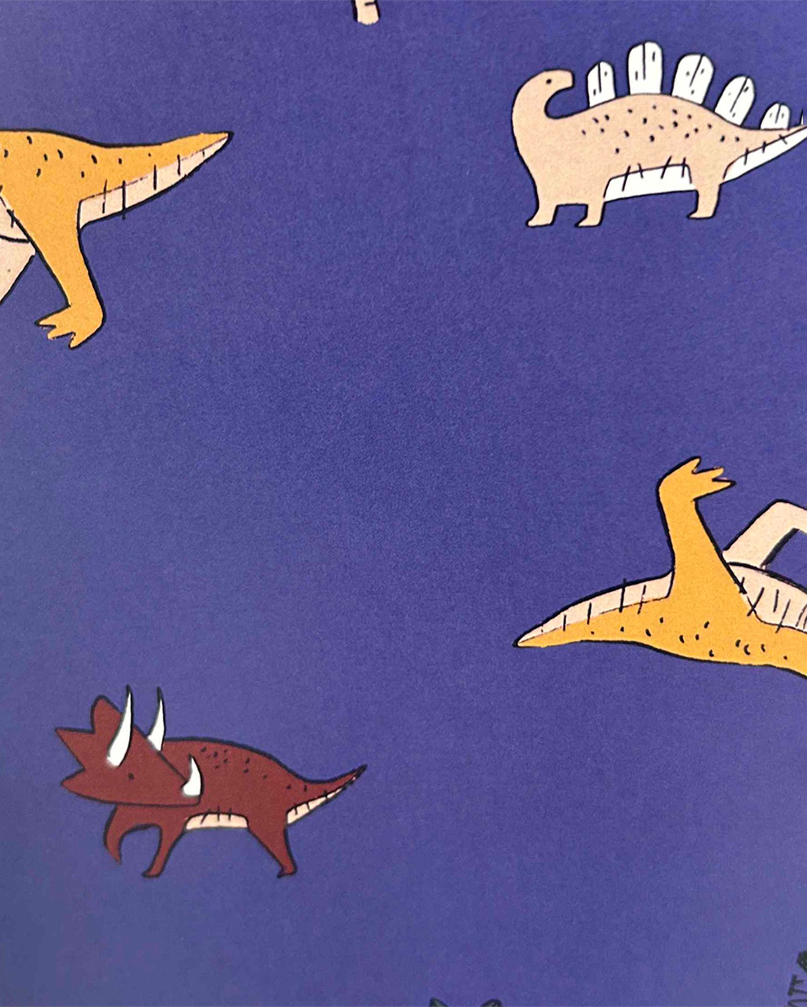 Conjunto longo bebê 2 peças mescla dino multicor | Carter's | Carter's ...