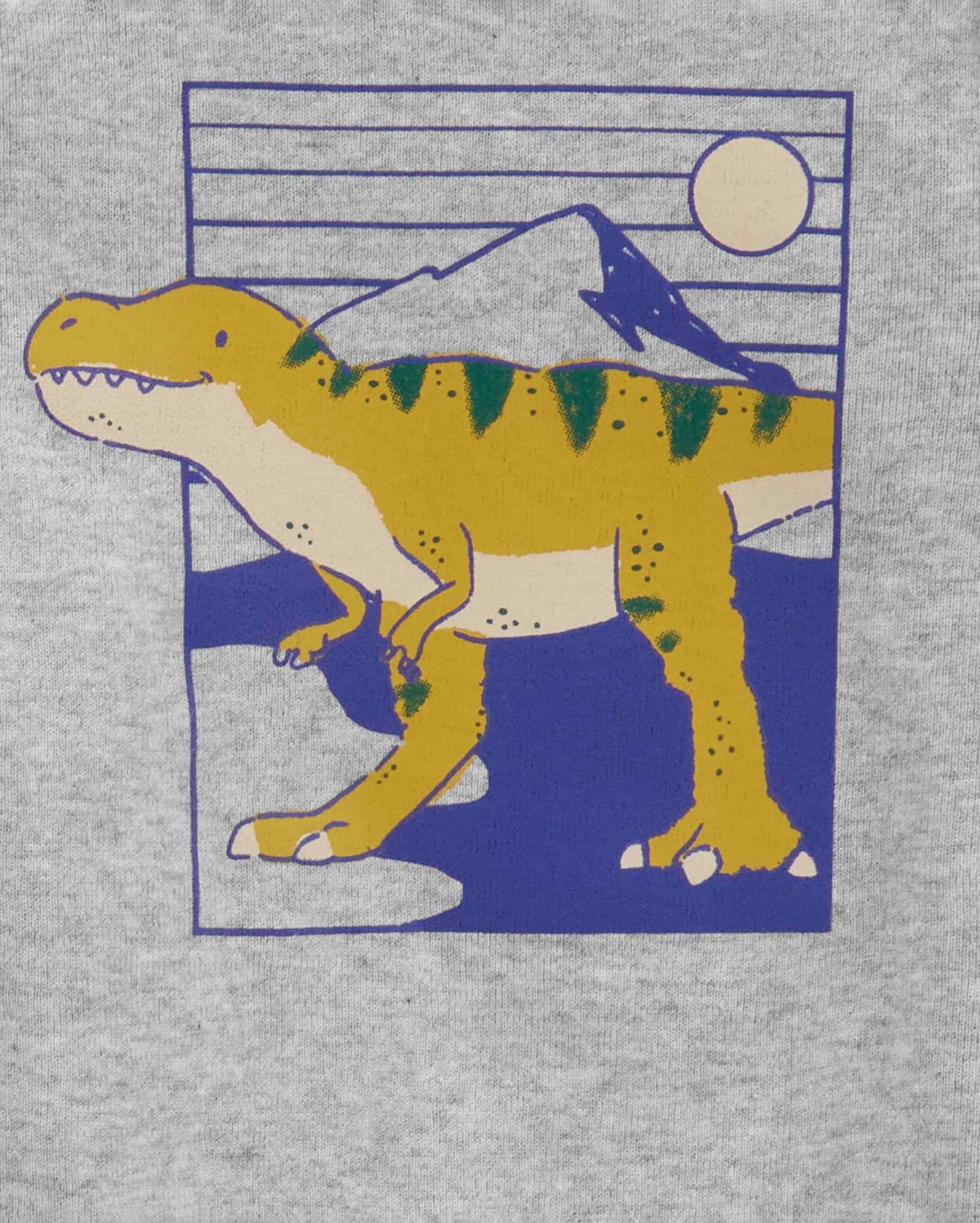 Conjunto longo bebê 2 peças mescla dino multicor | Carter's | Carter's ...