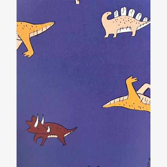 Conjunto longo bebê 2 peças mescla dino multicor | Carter's