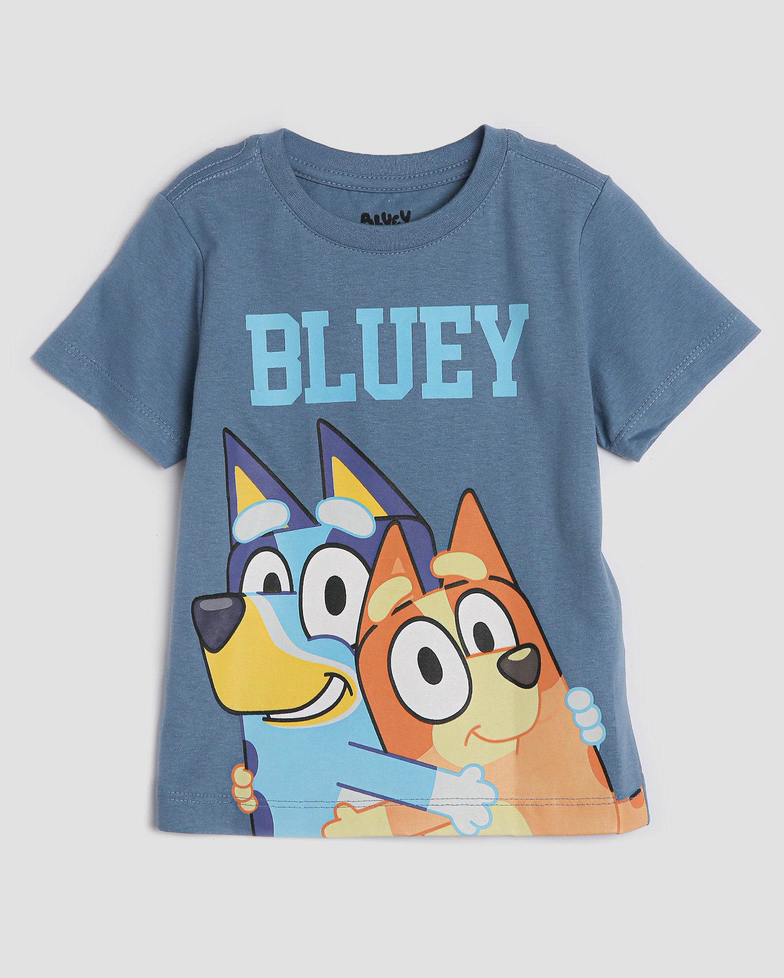 Riachuelo | Camiseta infantil estampa Bluey e Bingo 1-8A azul | BBC