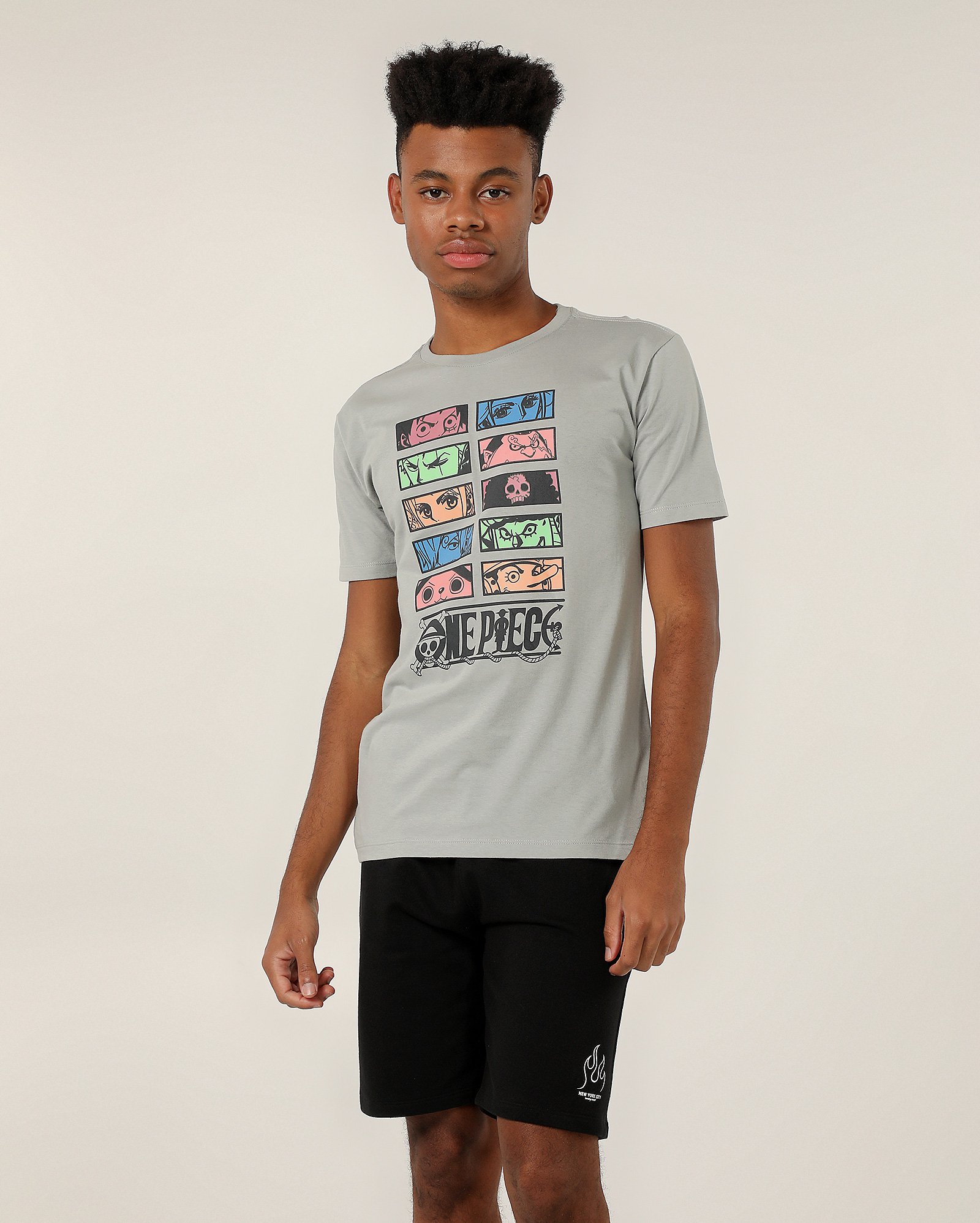 Camiseta juvenil manga curta personagens cinza | One Piece