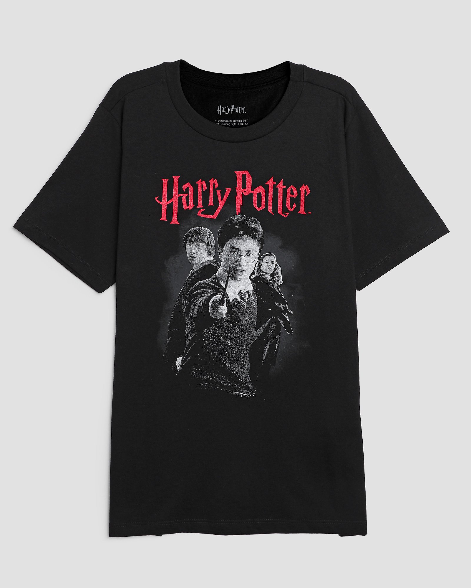 Camiseta juvenil amigos Harry Potter estampa preta | Warner Bros