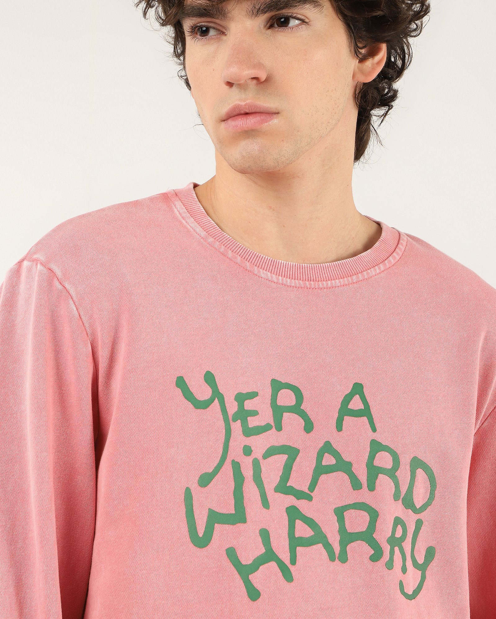 Blusa de moletom Harry Potter rosa | FANLAB — foto 3