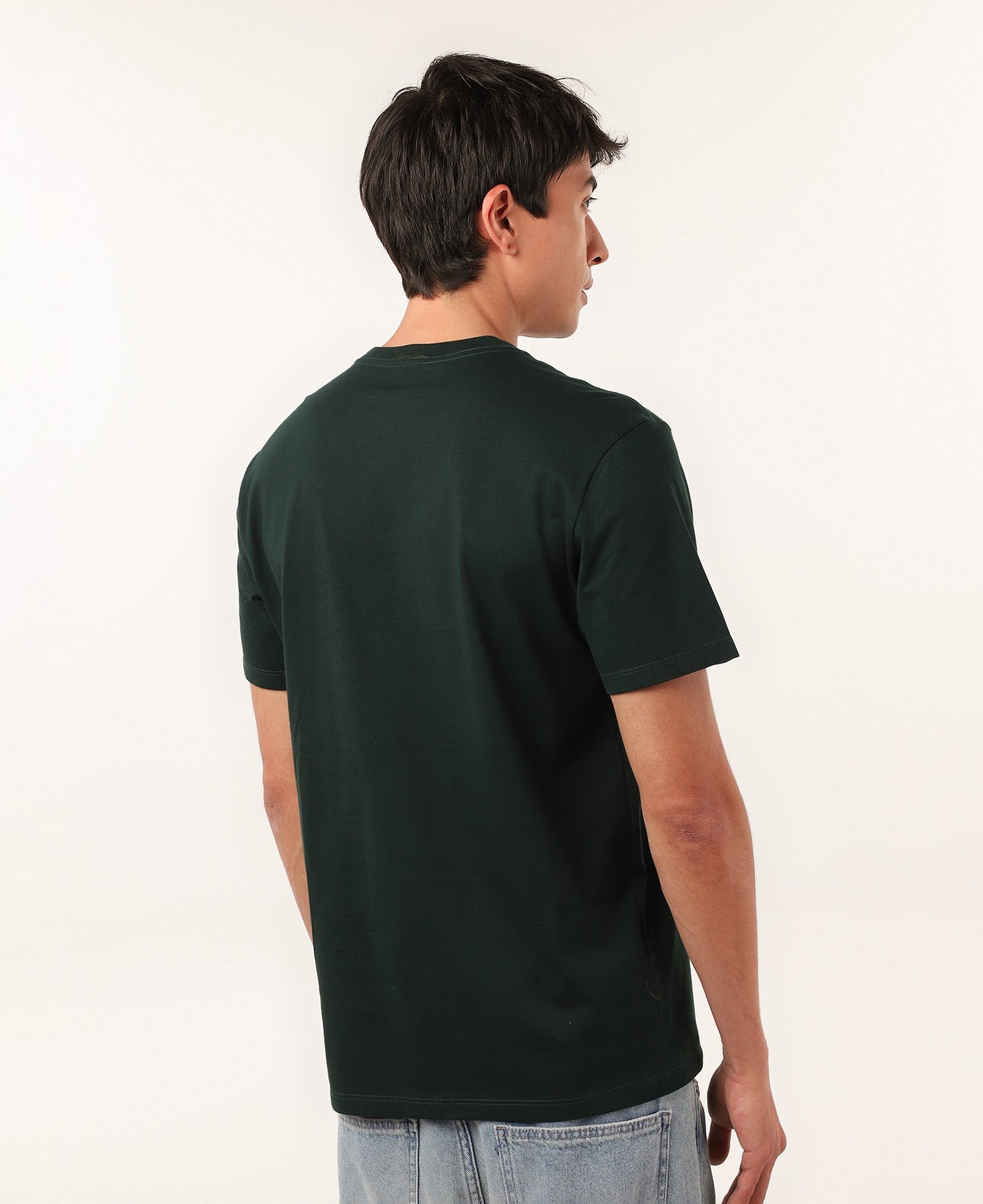 Camiseta masculina regular Polin Bridgerton verde | FANLAB — foto 5