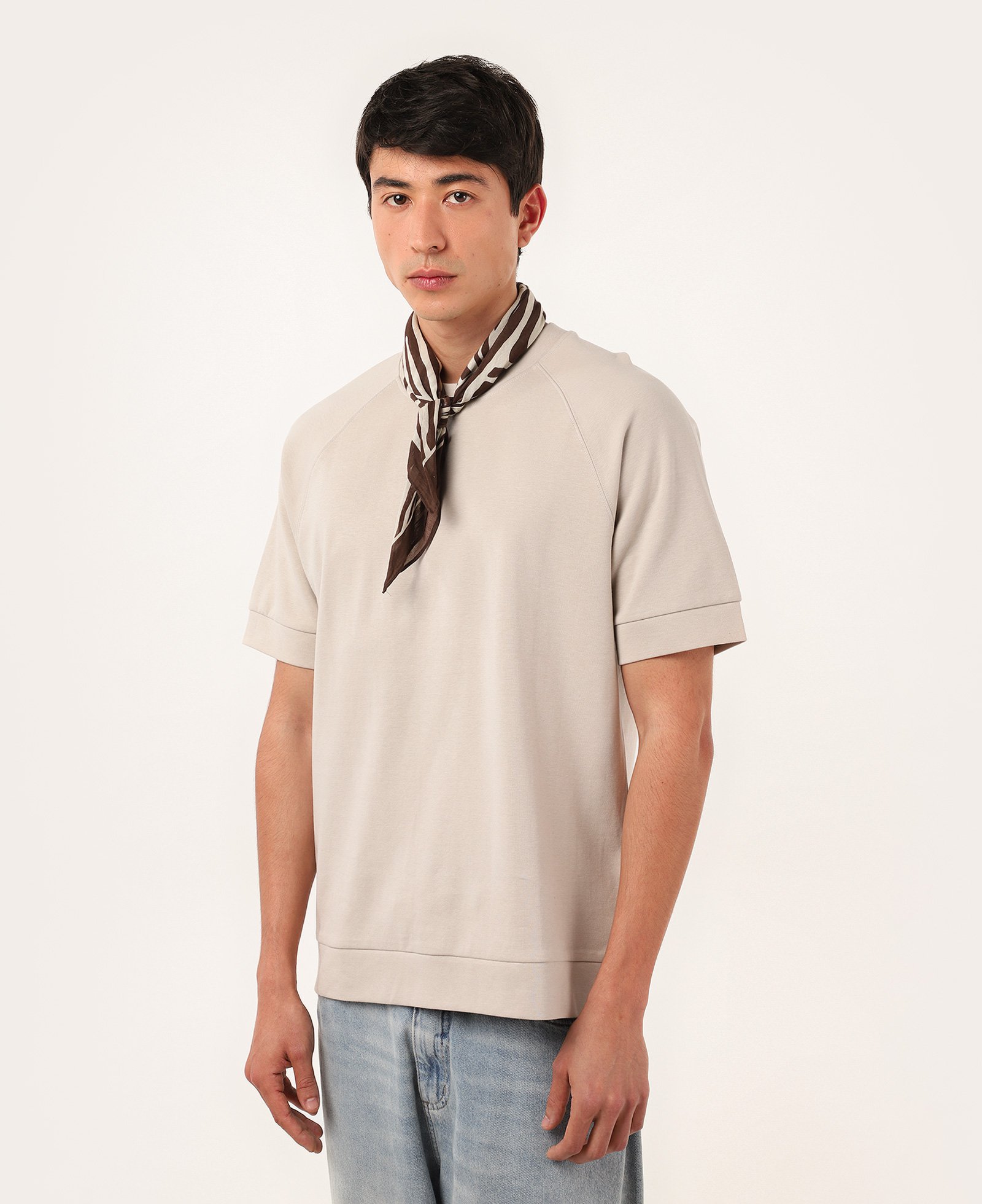 Camiseta masculina relaxed raglan - bege