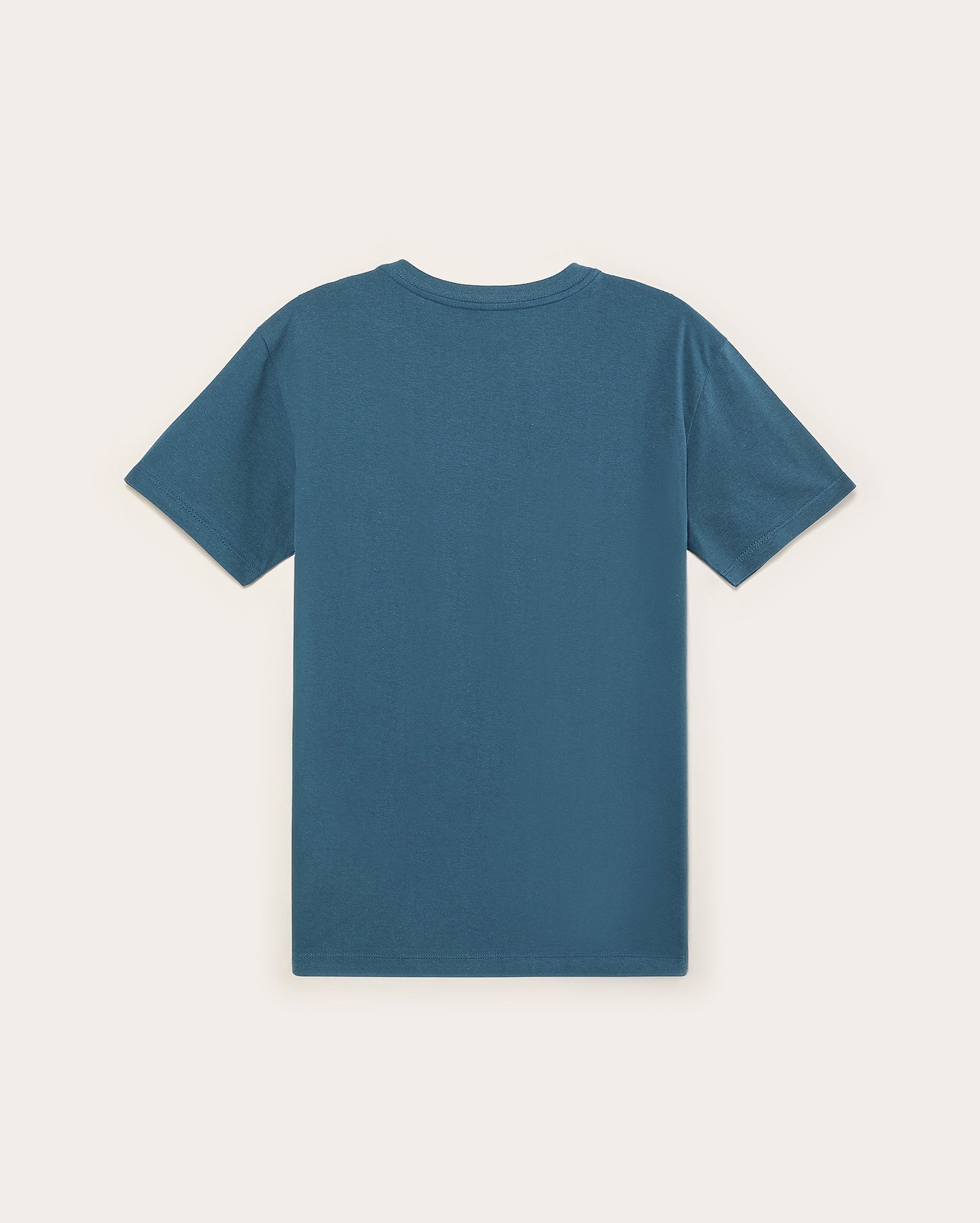 Camiseta juvenil manga curta estampada azul | Dragon Ball Z