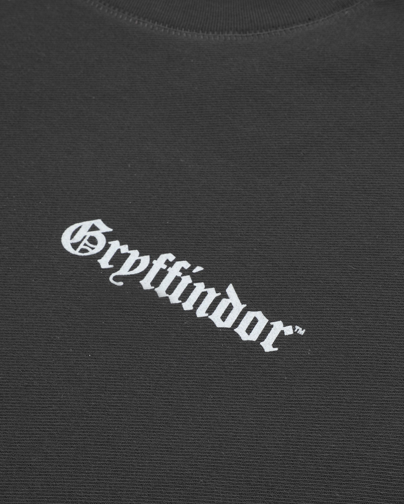 Camiseta juvenil oversized Harry Potter Grifinória cinza | Warner Bros