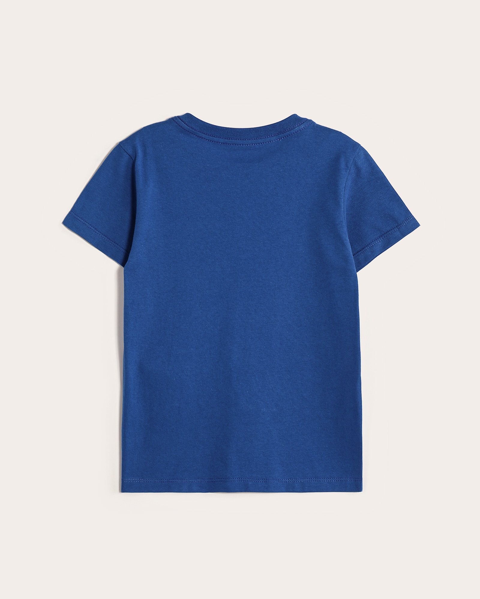 Camiseta infantil manga curta Sonic 4-10A azul | SEGA