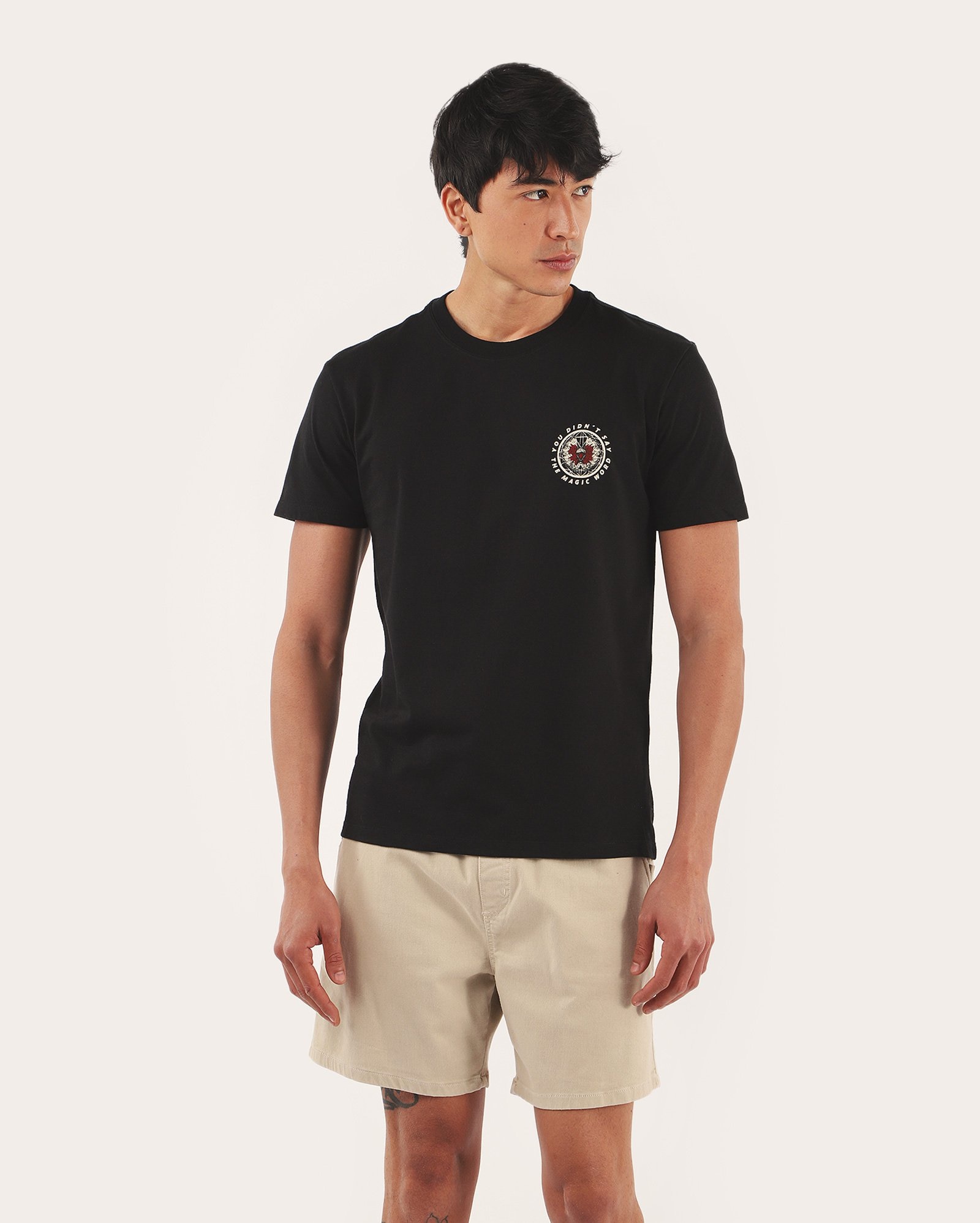 Camiseta masculina regular Jurassic Park preta | FANLAB
