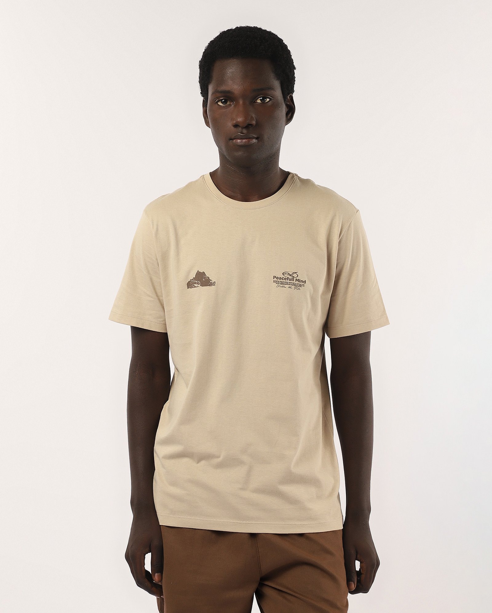Camiseta masculina regular peacefull mind bege | Pool