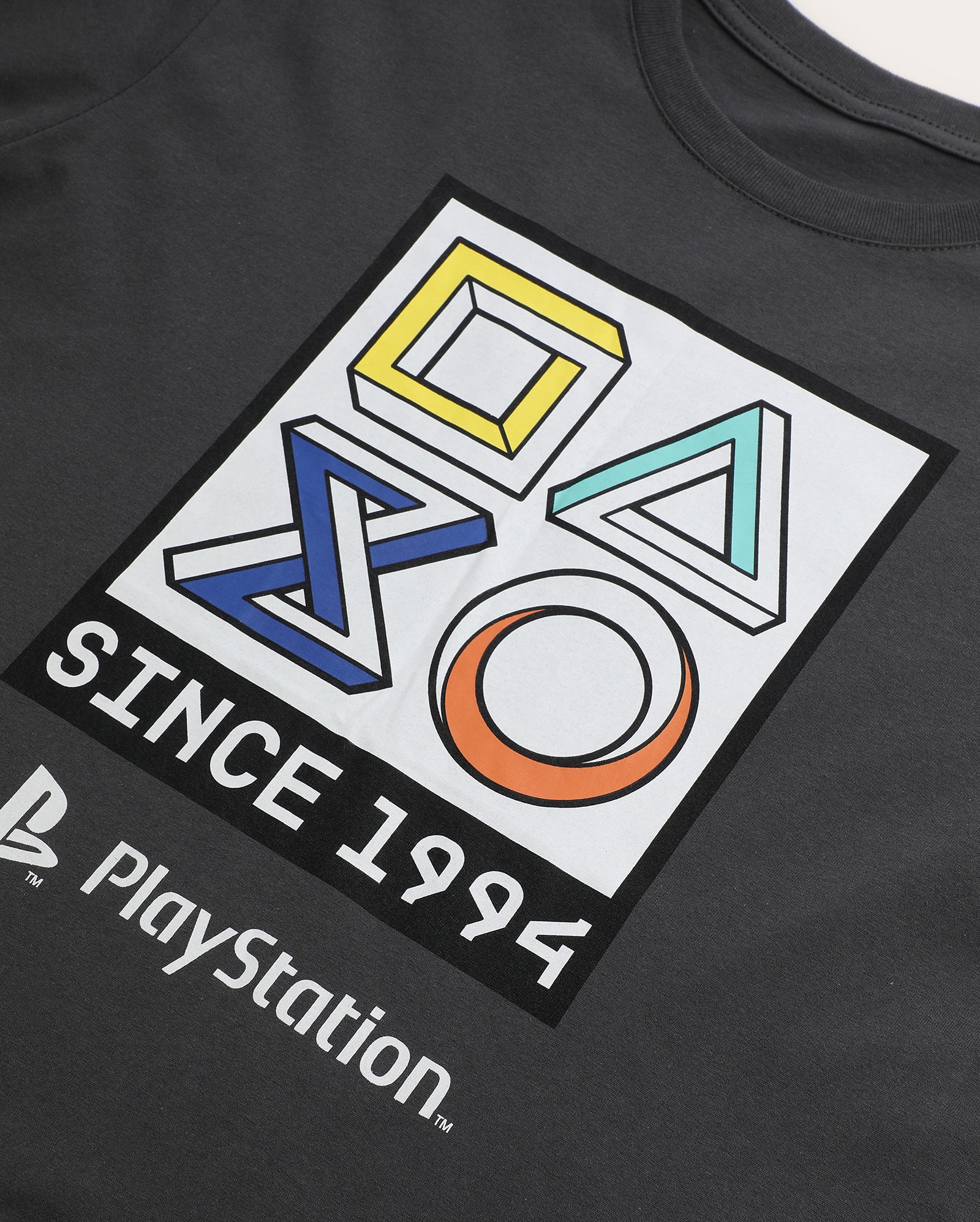 Camiseta juvenil regular PlayStation cinza | Sony