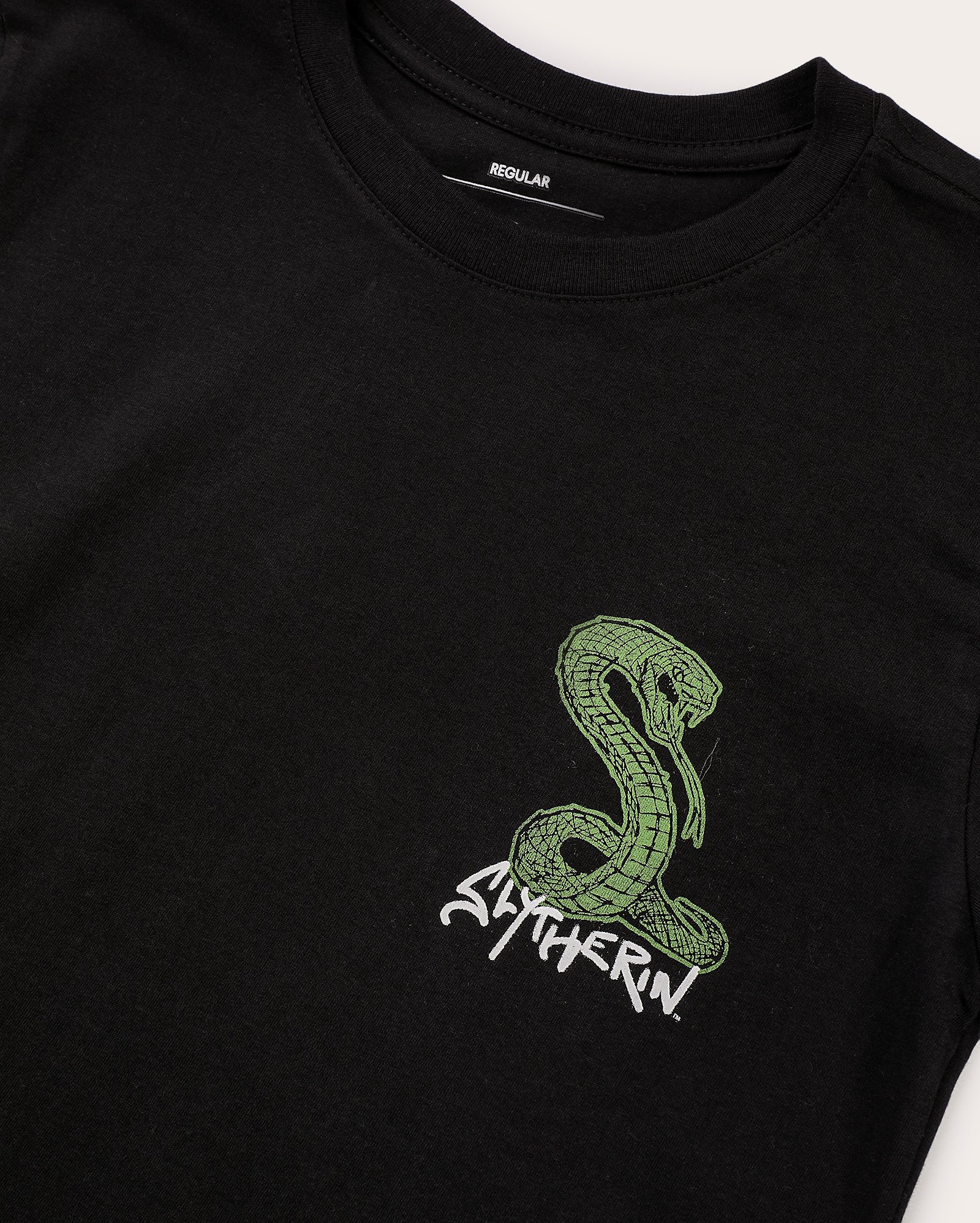 Camiseta juvenil regular Harry Potter Sonserina estampada preta | Warner Bros