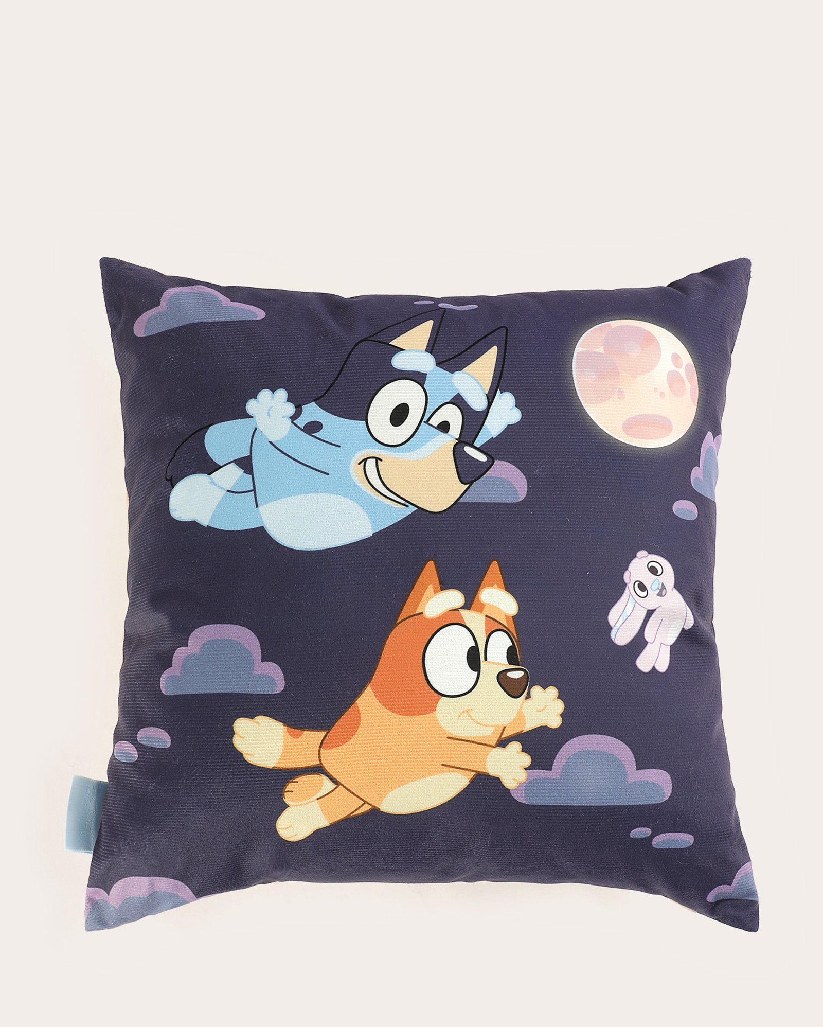 Almofada veludo Bluey 40x40cm multicor | Casa Riachuelo