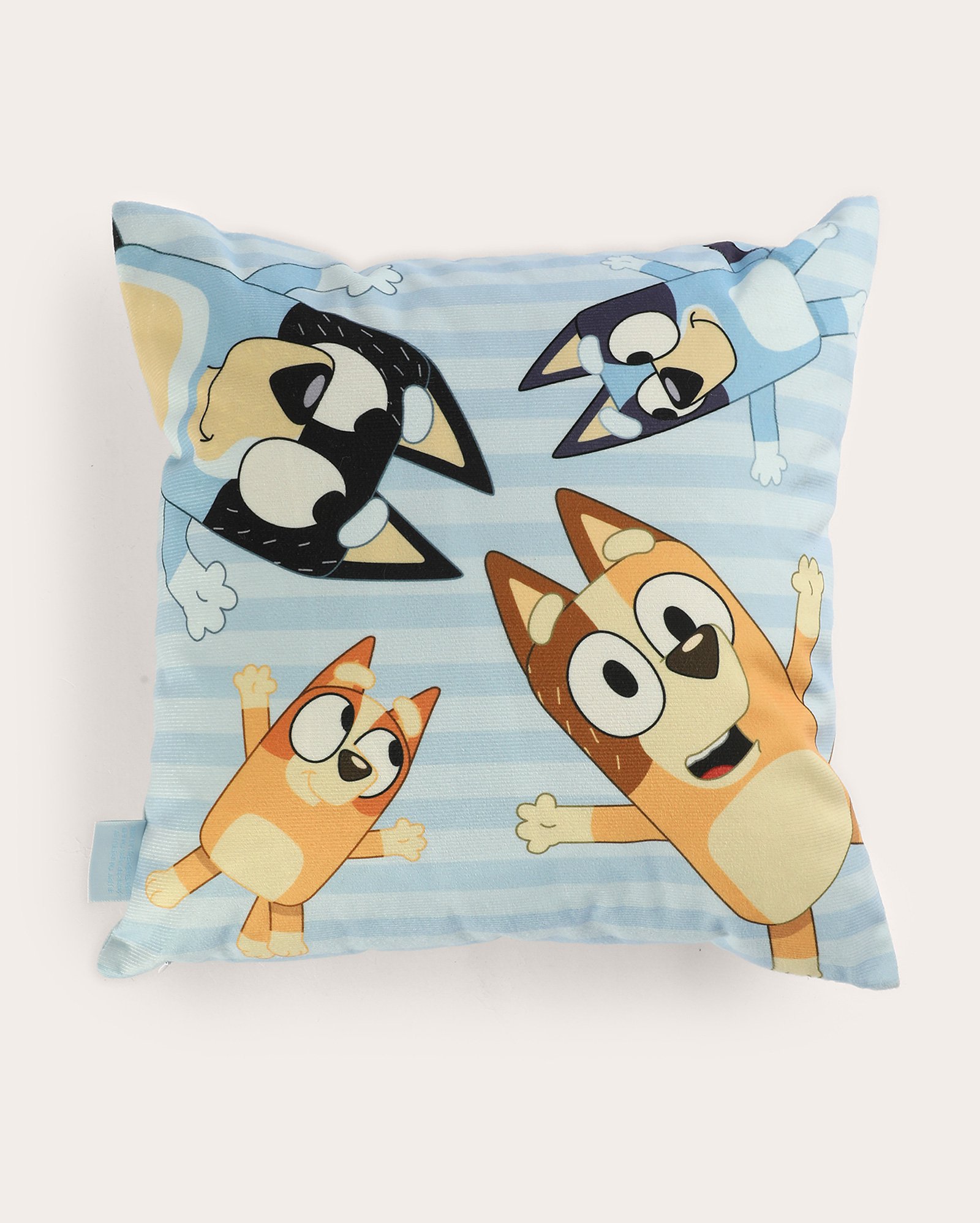 Almofada veludo Bluey e família 40x40cm multicor | Casa Riachuelo