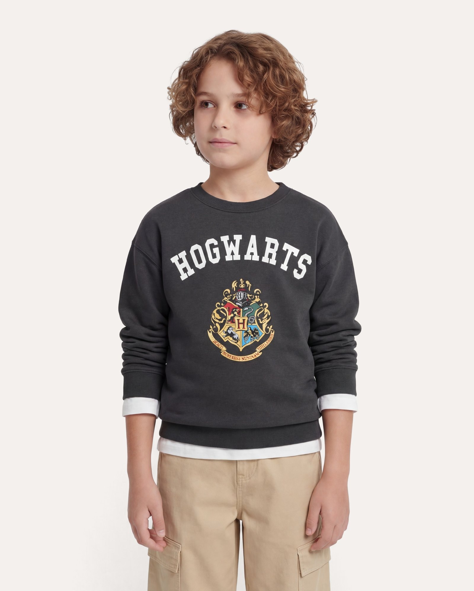Blusa moletom infantil com felpa 8-14A - cinza | Harry Potter