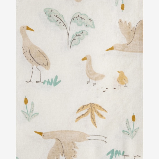 Kit cueiro pelicano 4 peças multicor | Carter's 