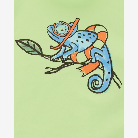 Conjunto praia bebê 2 peças camaleão na praia multicor | Carter's