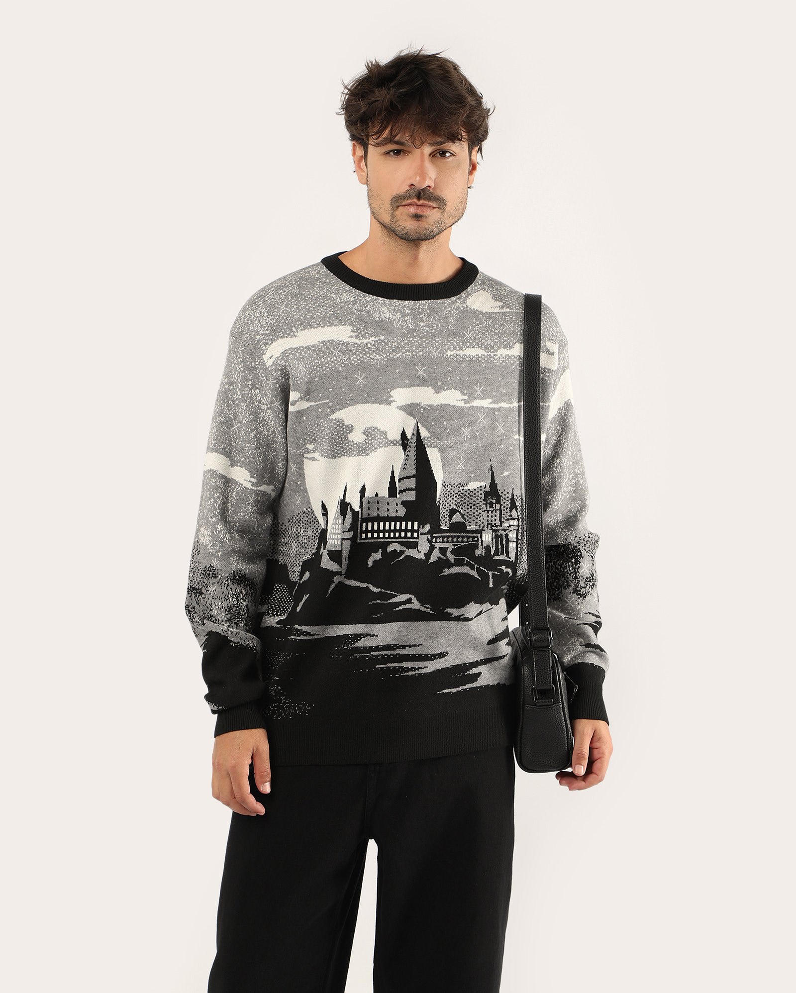 Suéter masculino de tricot Hogwarts - multicor | FANLAB