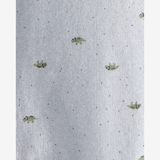 Conjunto longo bebê 2 peças tricot dinossauro - cinza | Carter's