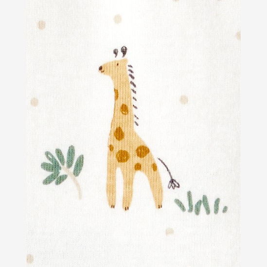 Kit body bebê 5 peças bichinhos listras - multicor | Carter's