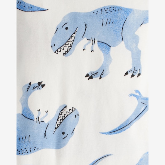 Pijama longo infantil 4 peças extinct - multicor | Carter's