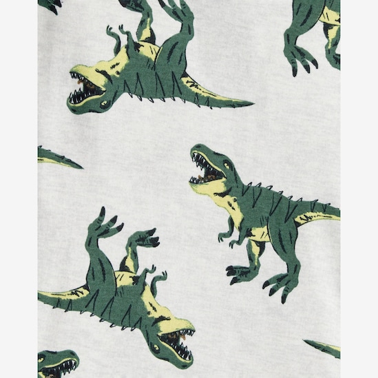 Pijama infantil 4 peças dinossauro - multicor | Carter's