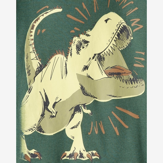 Pijama infantil 4 peças dinossauro - multicor | Carter's