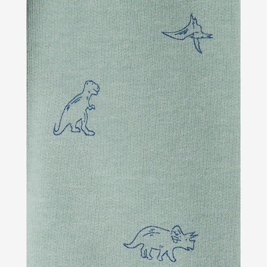 Conjunto longo de moletom infantil 2 peças dino - multicor | Carter's